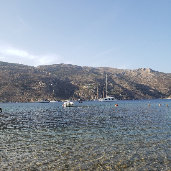 Meet your Posher, Vera - Picture 11 of 15